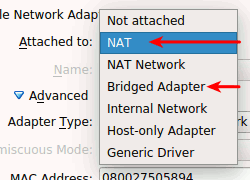 NAT and Bridge Options