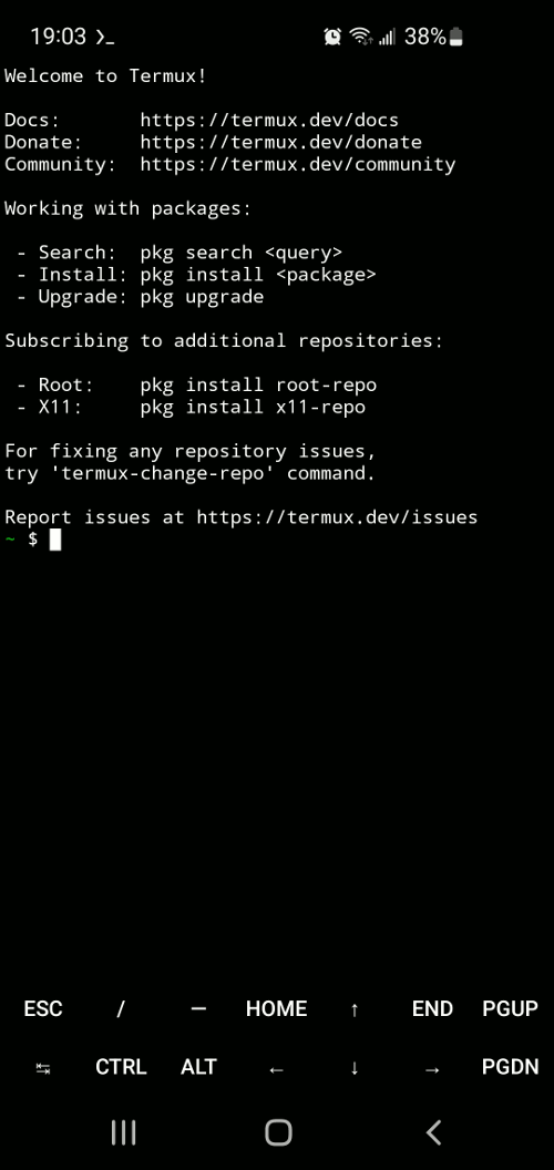 Termux: Main terminal screen