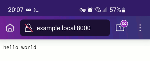 Web Browser: Display 'hello world' message from local service running in container